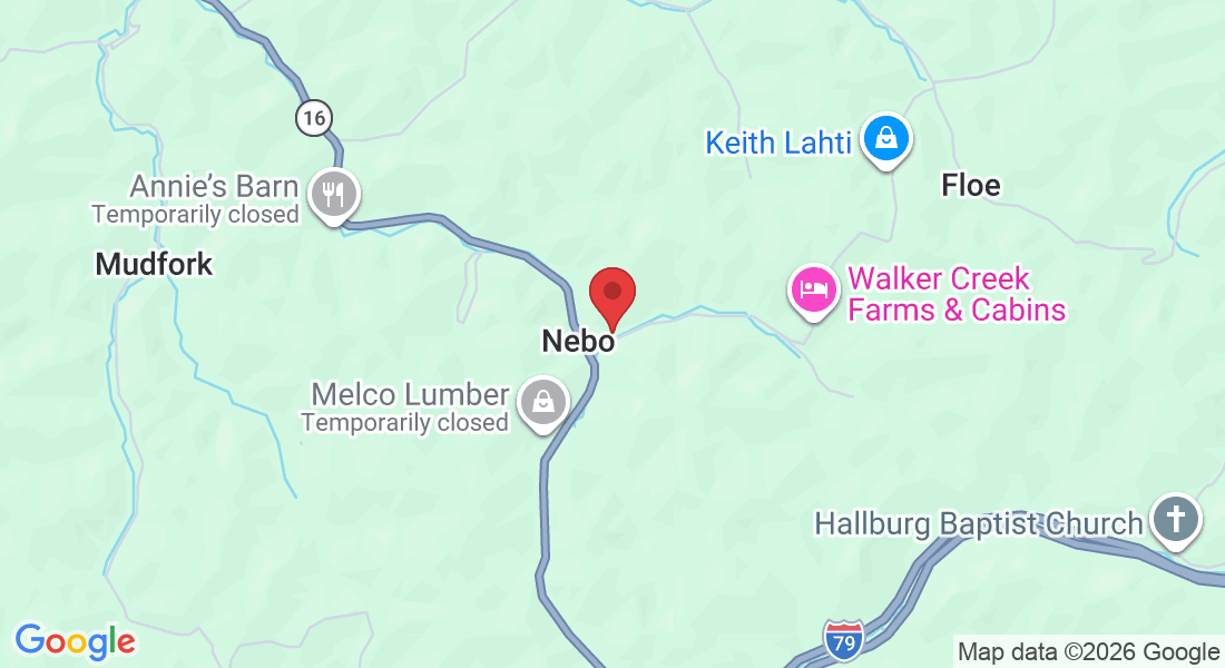 133 Nebo Walker Rd, Nebo, WV 25141, USA