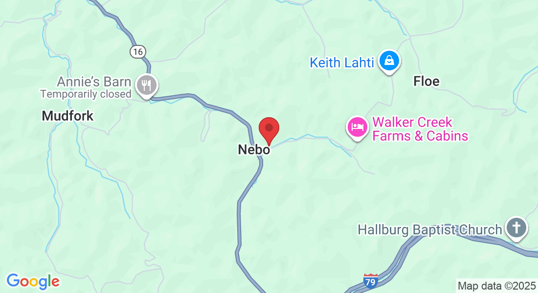 133 Nebo Walker Rd, Nebo, WV 25141, USA