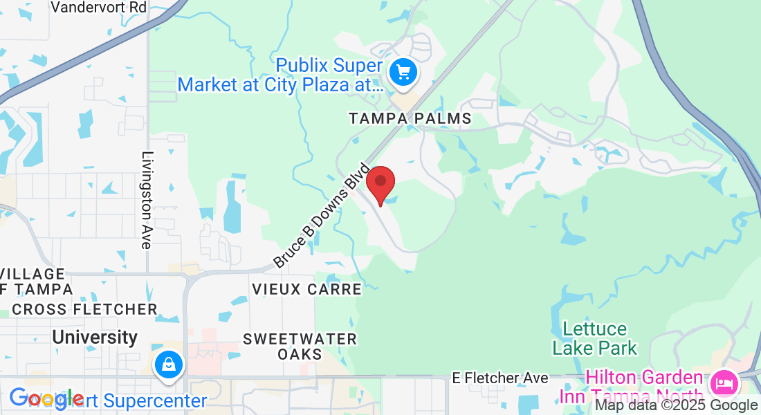 15350 Amberly Dr, Tampa, FL 33647, USA