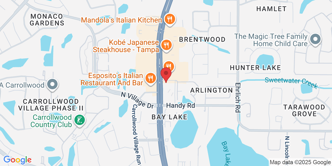 14021 N Dale Mabry Hwy # B, Tampa, FL 33618, USA