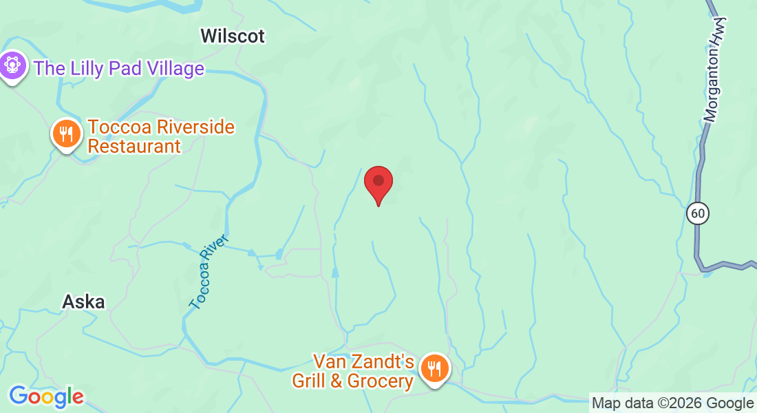 832 Scenic Mountain View Rd, Blue Ridge, GA 30513, USA