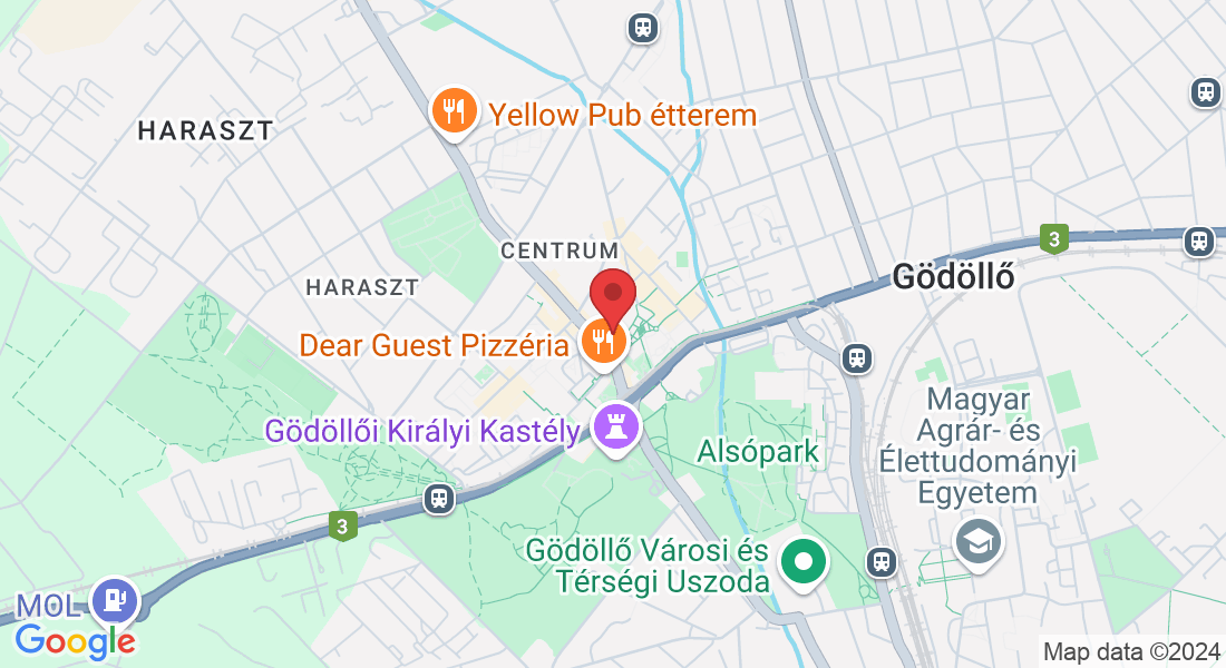 Gödöllő, Dózsa György út 2, 2100 Magyarország