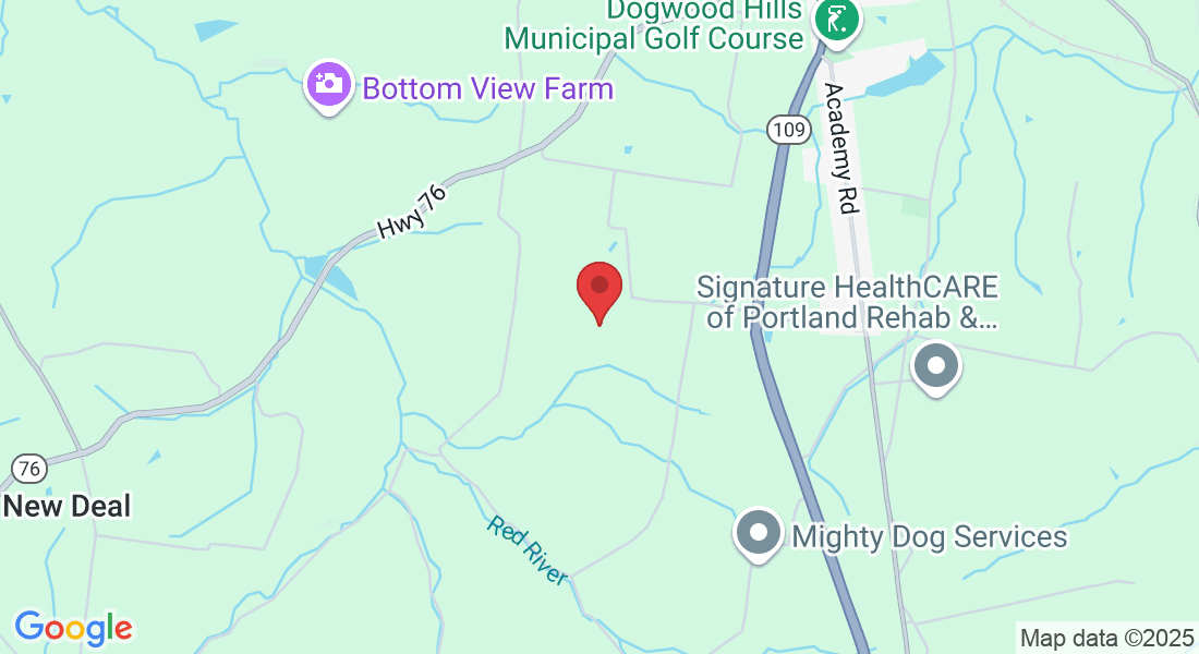 1009 Larkspur Meadows Ln, Portland, TN 37148, USA