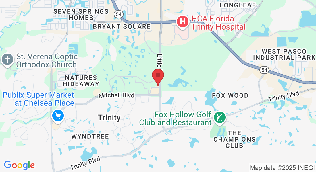 2027 Little Rd, Trinity, FL 34655, USA