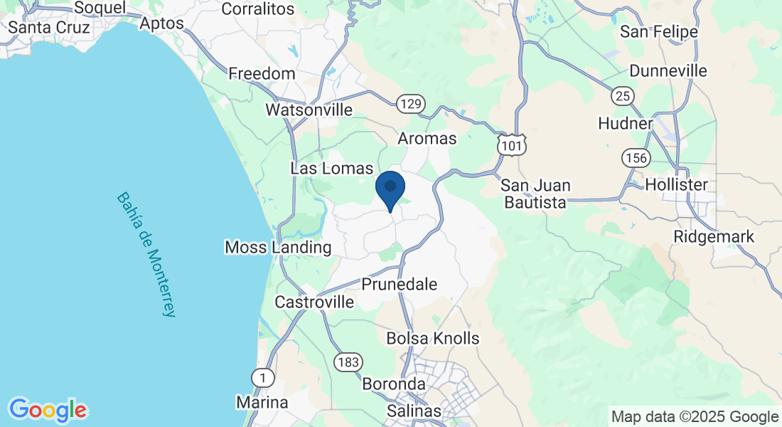 16906 Forrest Ln, Royal Oaks, CA 95076, EE. UU.