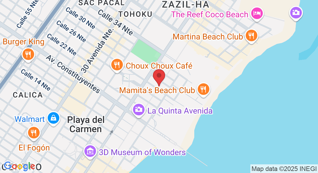 Quinta Avenida entre calles 26 y 28 Nte, Gonzalo Guerrero, 77710 Playa del Carmen, Q.R., Mexico