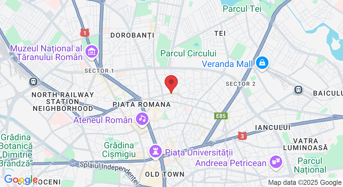 Strada Mihai Eminescu 98, București 030167, Romania