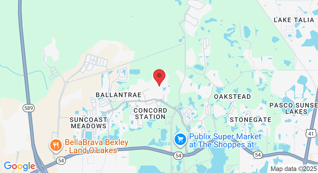 18672 Milton Keynes Ct, Land O' Lakes, FL 34638, USA