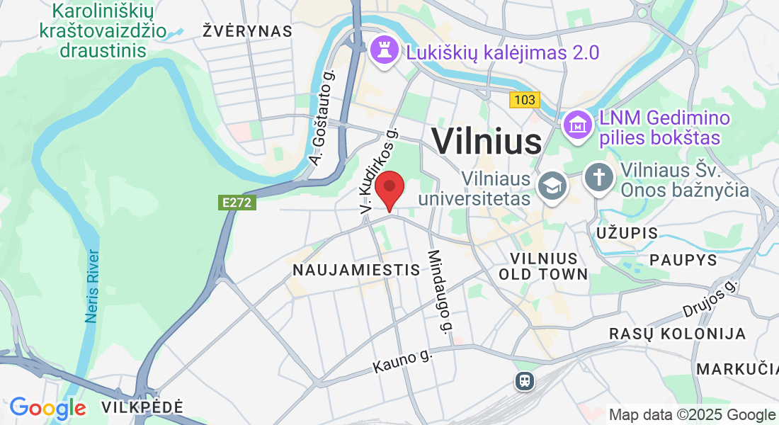 J. Basanavičiaus g. 29A, 03104 Vilnius, Lithuania