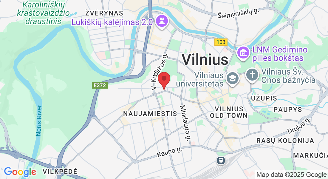 J. Basanavičiaus g. 29A, 03104 Vilnius, Lithuania