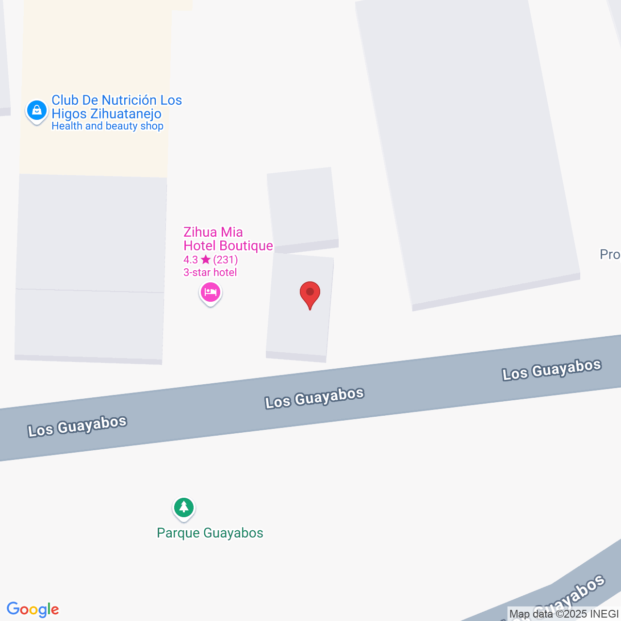 Los Guayabos 16, Centro, 40890 Zihuatanejo, Gro., Mexico