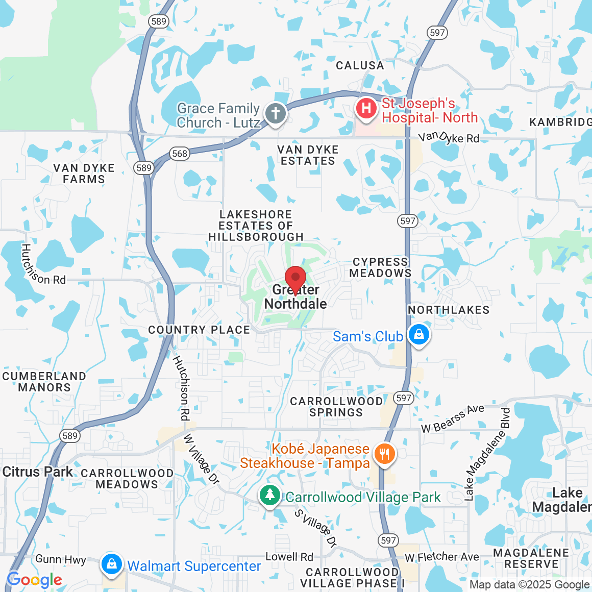 Greater Northdale, FL, USA