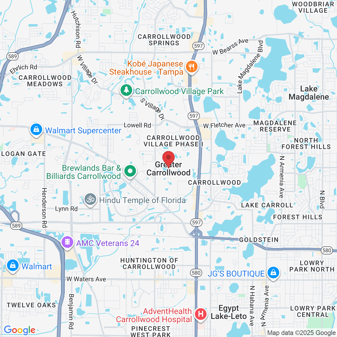 Greater Carrollwood, FL, USA