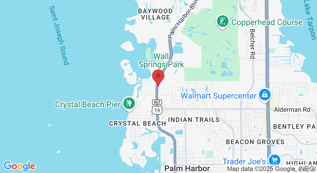 3208 US-19 ALT, Palm Harbor, FL 34683, USA