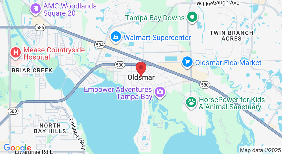 Oldsmar, FL, USA