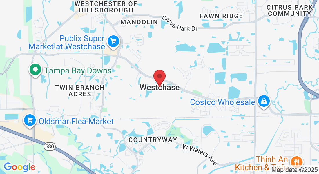 Westchase, FL 33626, USA