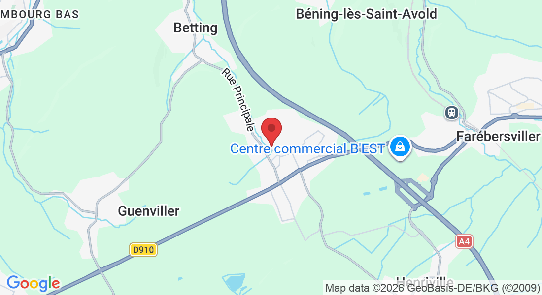 51A Rue Principale, 57455 Seingbouse, France