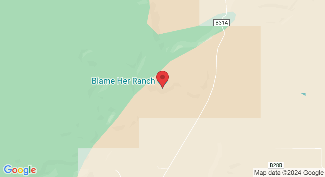 354 Co Rd B31A, Ribera, NM 87560, USA