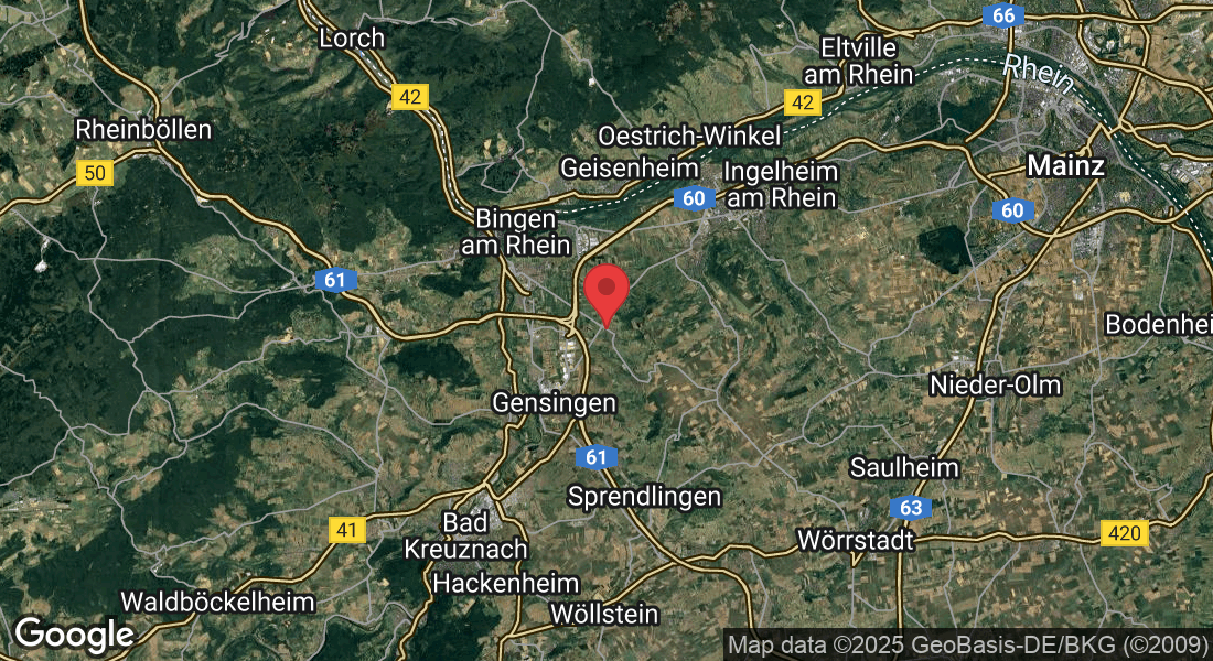 Rheinhessenstraße 5, 55411 Bingen am Rhein, Deutschland