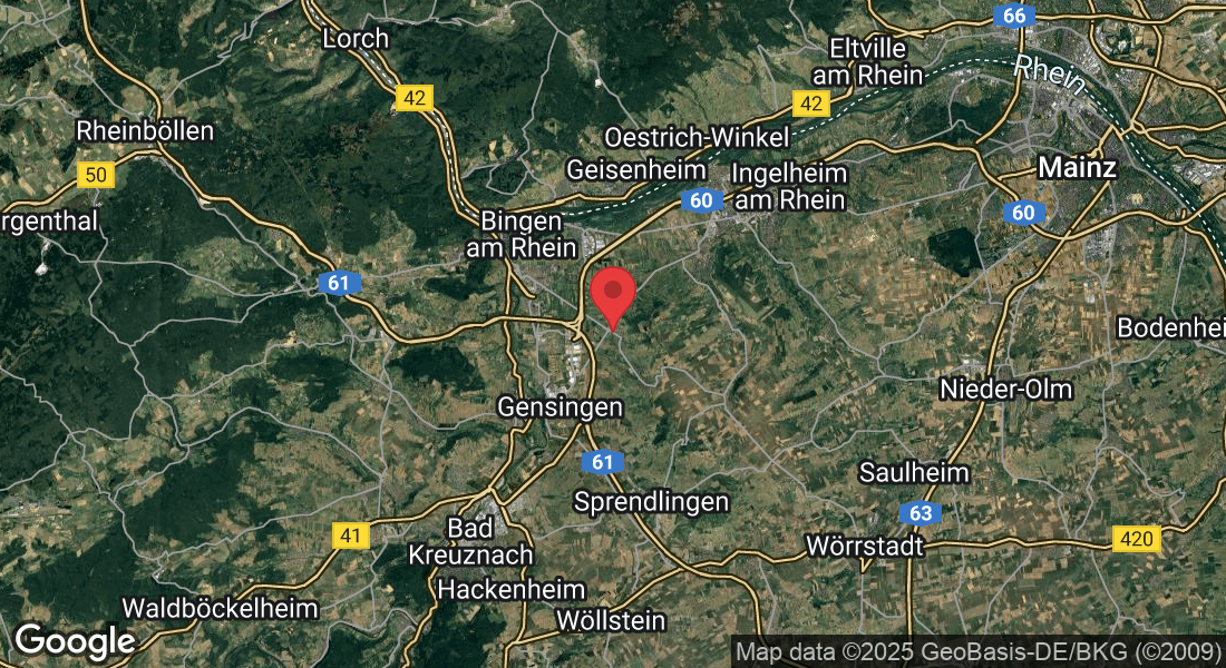 Rheinhessenstraße 5, 55411 Bingen am Rhein, Deutschland