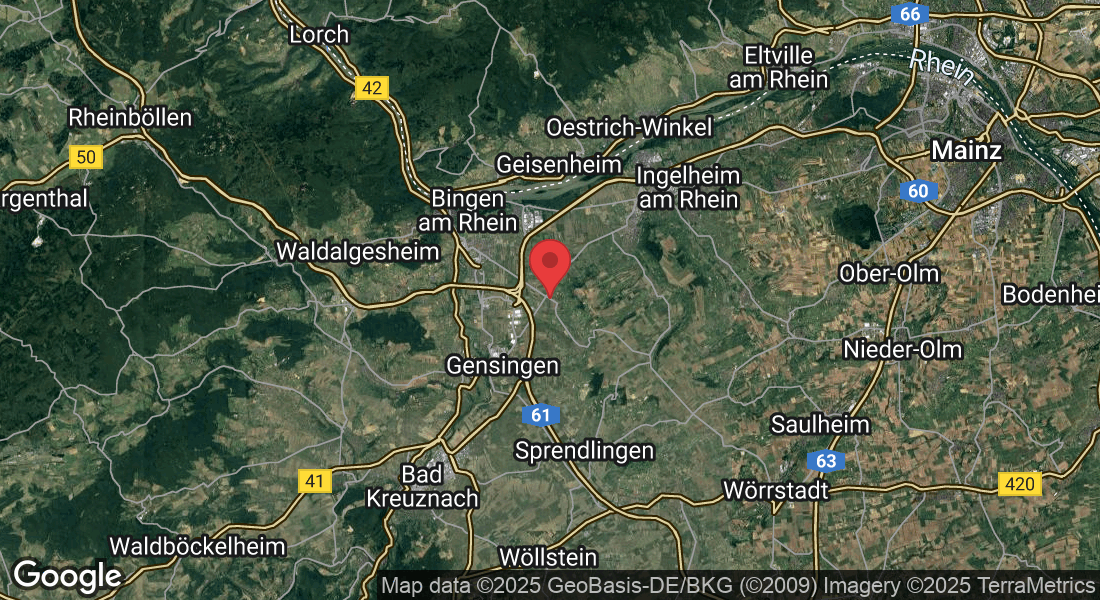 Rheinhessenstraße 5, 55411 Bingen am Rhein, Deutschland