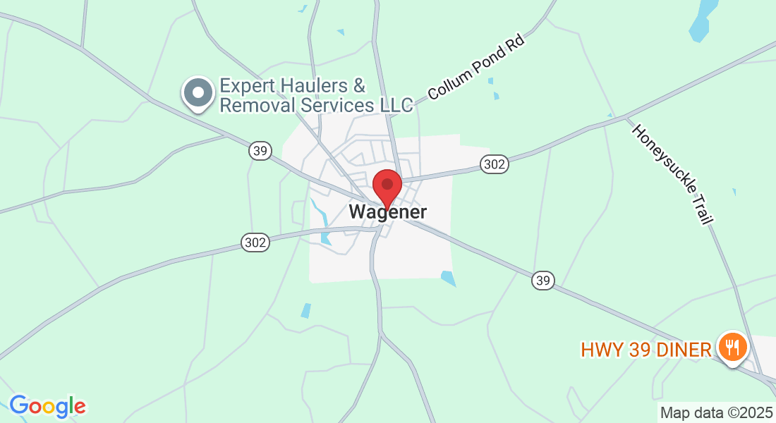 Wagener, SC 29164, USA
