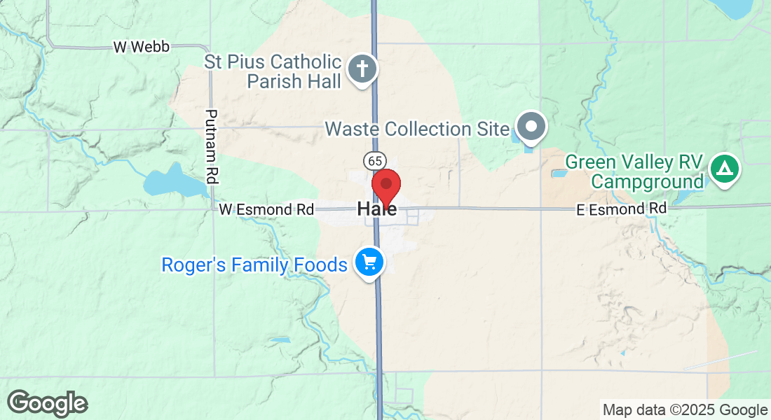 118 E Main St, Hale, MI 48739, USA