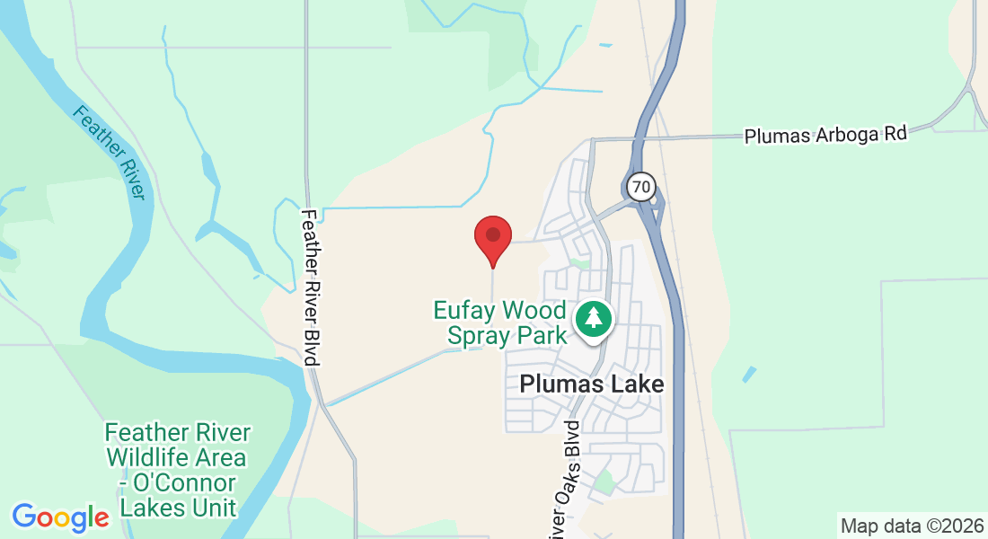 Algodon Rd, California 95961, USA