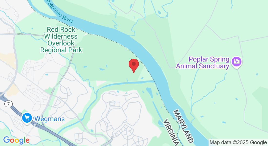 43777 Ballybunion Terrace, Leesburg, VA 20176, USA