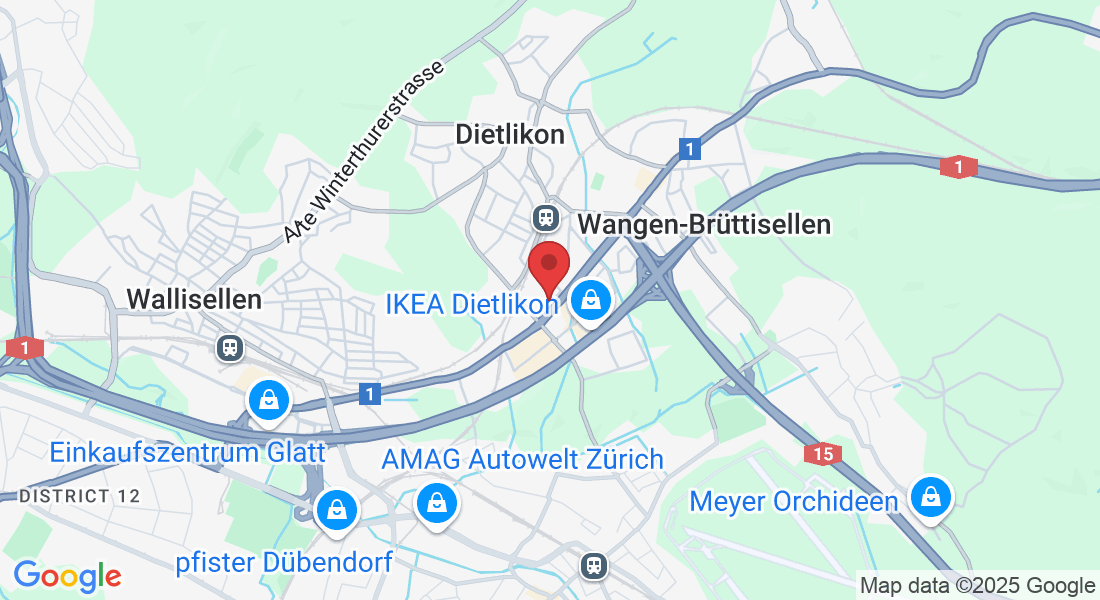 Alte Dübendorferstrasse 16, 8305 Dietlikon, Switzerland