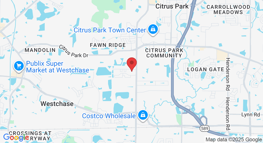 11928 Sheldon Rd Suite 111, Tampa, FL 33626, USA