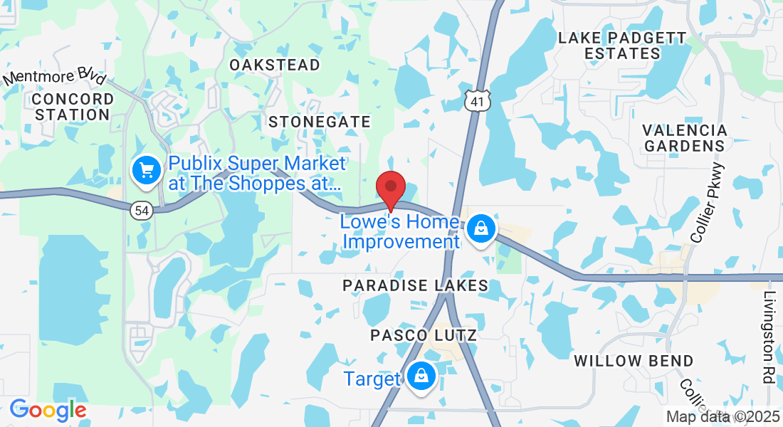 2425 Brunello Trce, Lutz, FL 33558, USA
