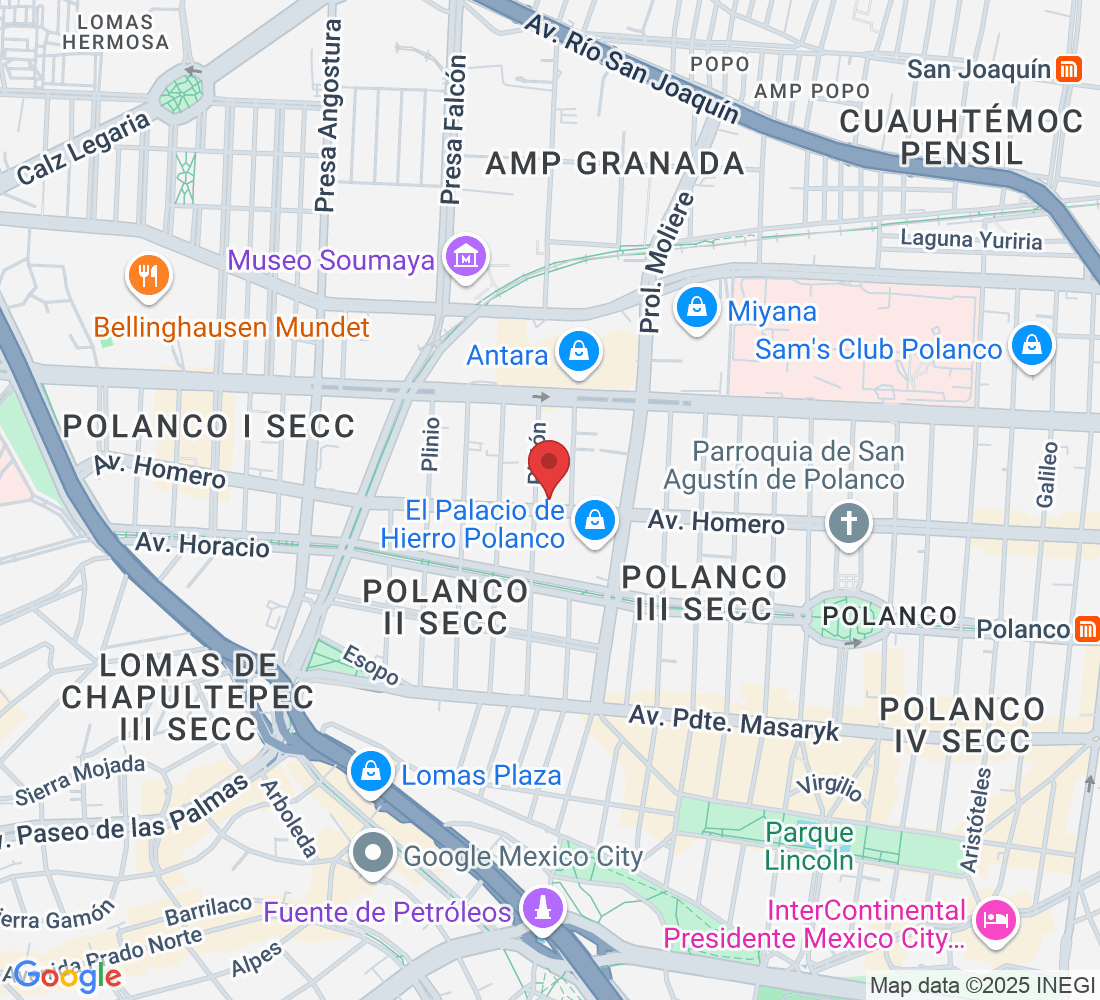 Av. Homero 1339-Piso 5, Polanco, Polanco II Secc, Miguel Hidalgo, 11530 Ciudad de México, CDMX, México