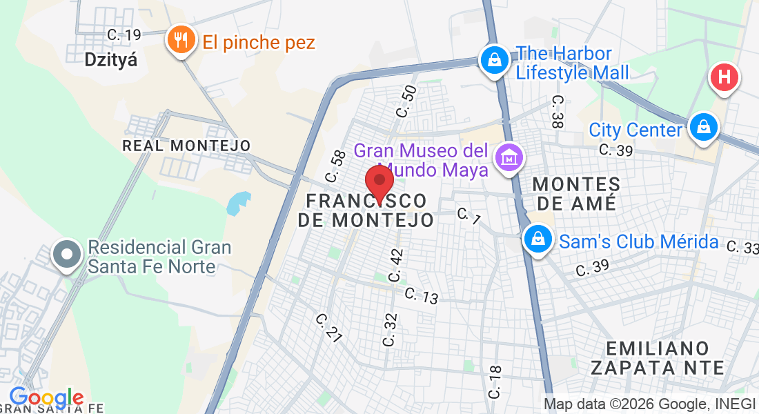 C. 51 275, Francisco de Montejo, 97203 Mérida, Yuc., México