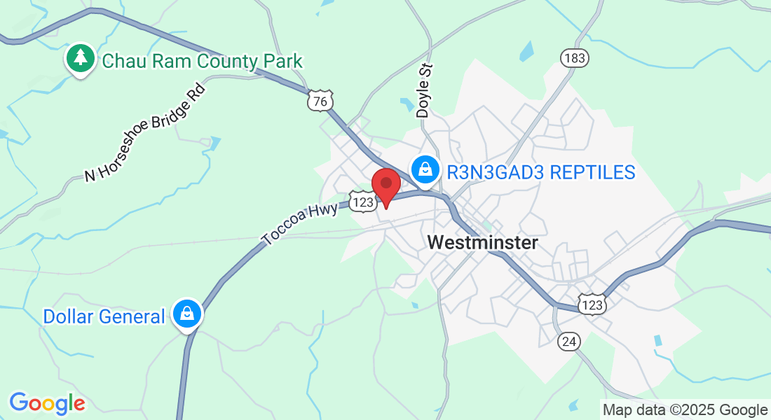 233 S Alexander St, Westminster, SC 29693, USA