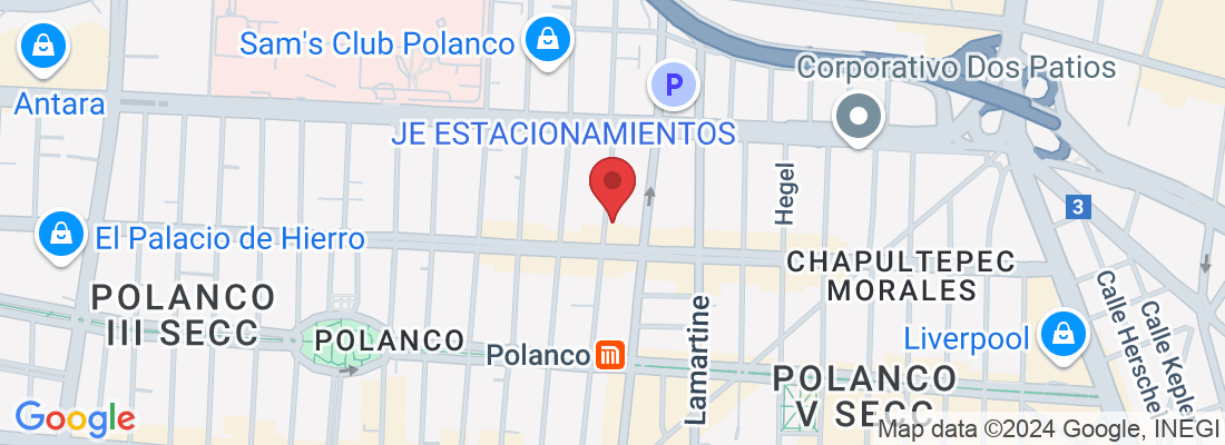 Temístocles 309, Polanco, Polanco IV Secc, Miguel Hidalgo, 11560 Ciudad de México, CDMX, México