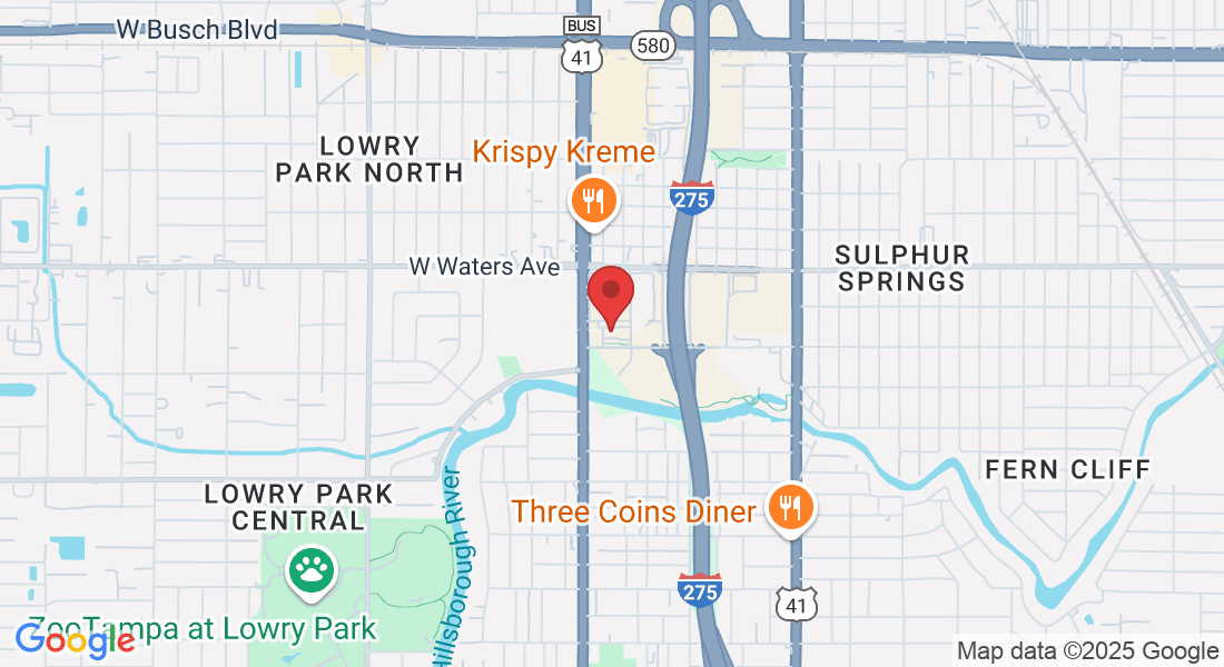 8211 N Florida Ave, Tampa, FL 33604, USA