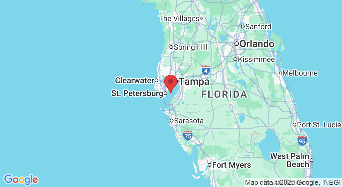 Tampa Bay, Florida, USA