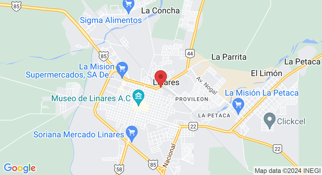 Linares, N.L., México