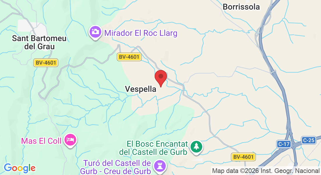 Camí Mas Castañé, s/n, 08503 Vespella, Barcelona, Spain