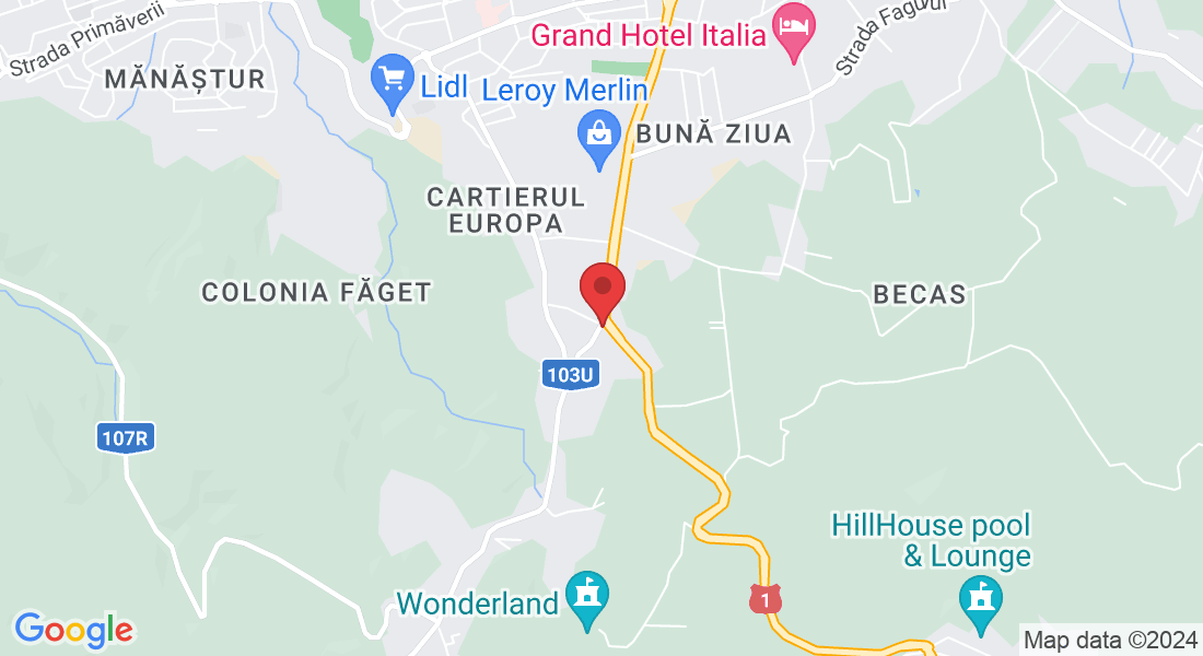 Calea Turzii 200, Cluj-Napoca 400495, România