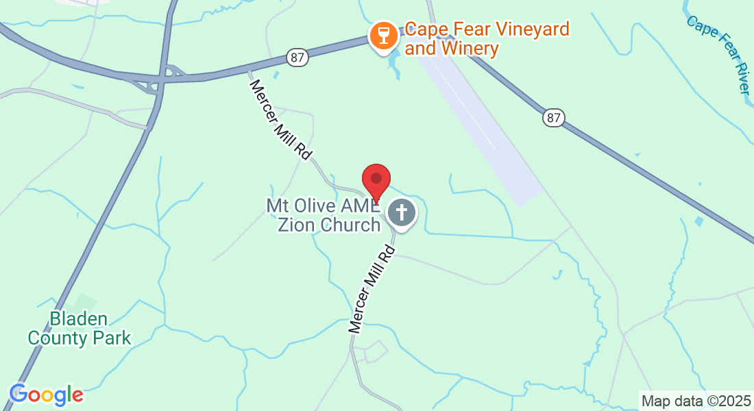 2979 Mercer Mill Brown Marsh Rd, Elizabethtown, NC 28337, USA