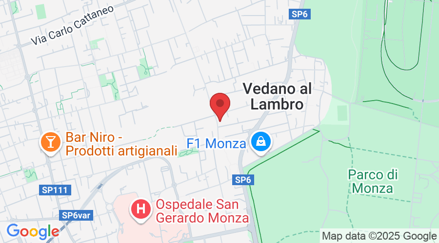 Via Privata Schiatti, 22, 20854 Vedano al Lambro MB, Italy