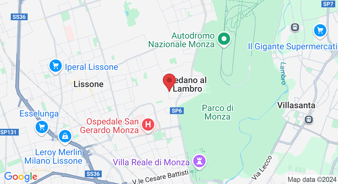 Via Privata Schiatti, 22, 20854 Vedano al Lambro MB, Italy