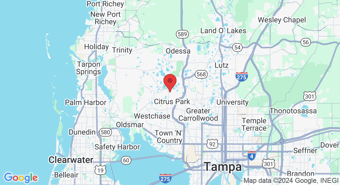 9014 Scott Wilson Ln, Odessa, FL 33556, USA