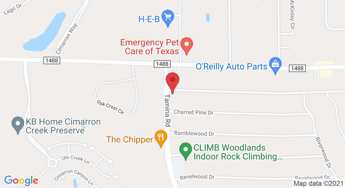 33018 Tamina Rd, Magnolia, TX 77354, USA