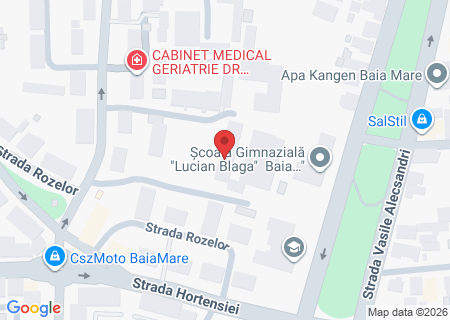 Strada Barbu Ștefănescu Delavrancea 27, 430292 Baia Mare, Romania