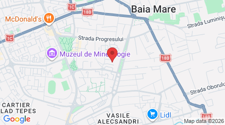 Strada Barbu Ștefănescu Delavrancea 27, 430292 Baia Mare, Romania
