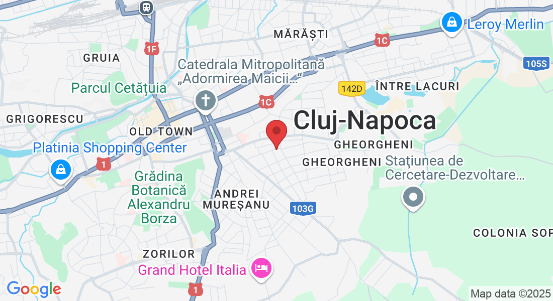 Strada Mihai Veliciu 56, Cluj-Napoca 400394, România