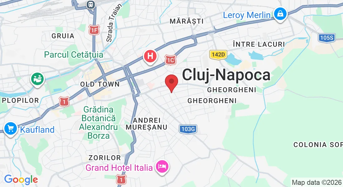 Strada Mihai Veliciu 56, Cluj-Napoca 400394, România